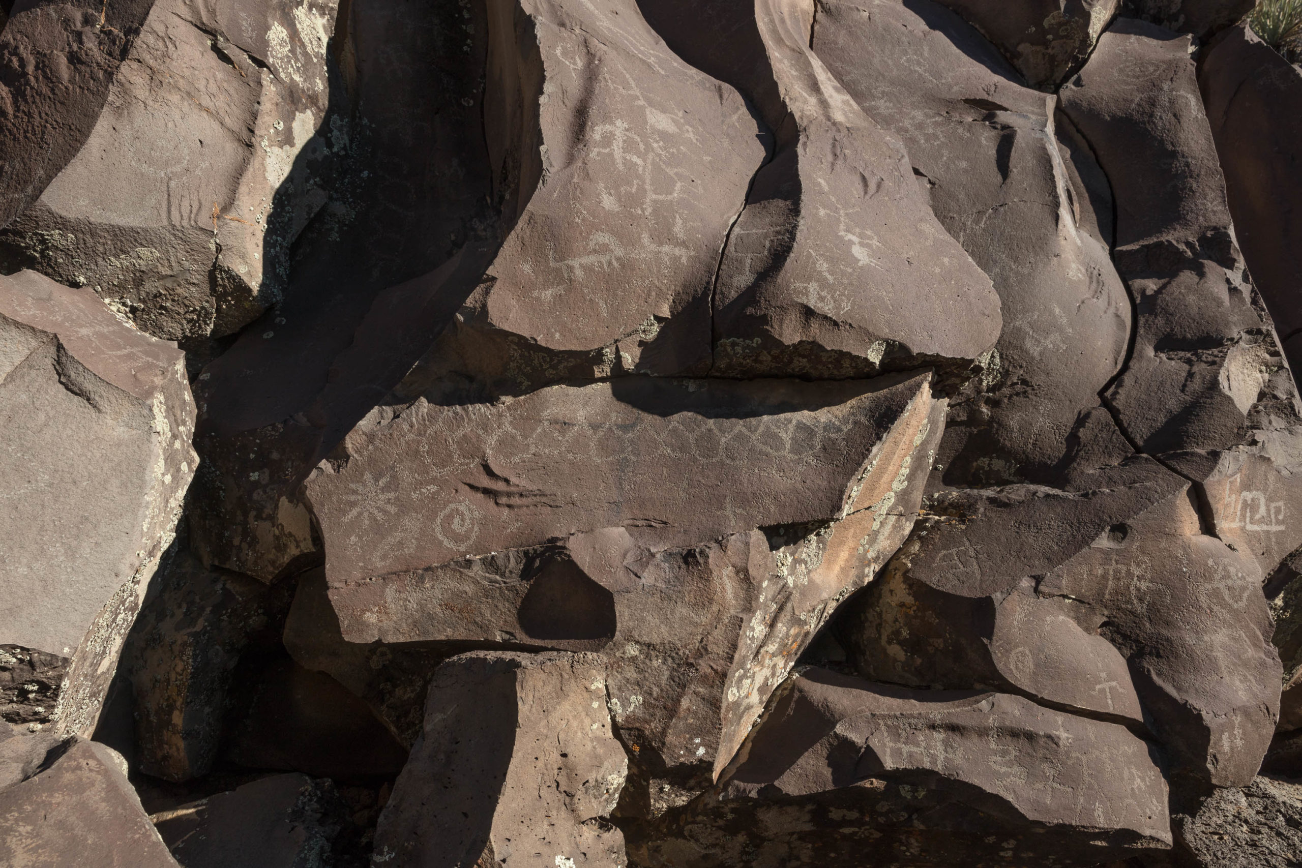 Nampaweap Petroglyphs