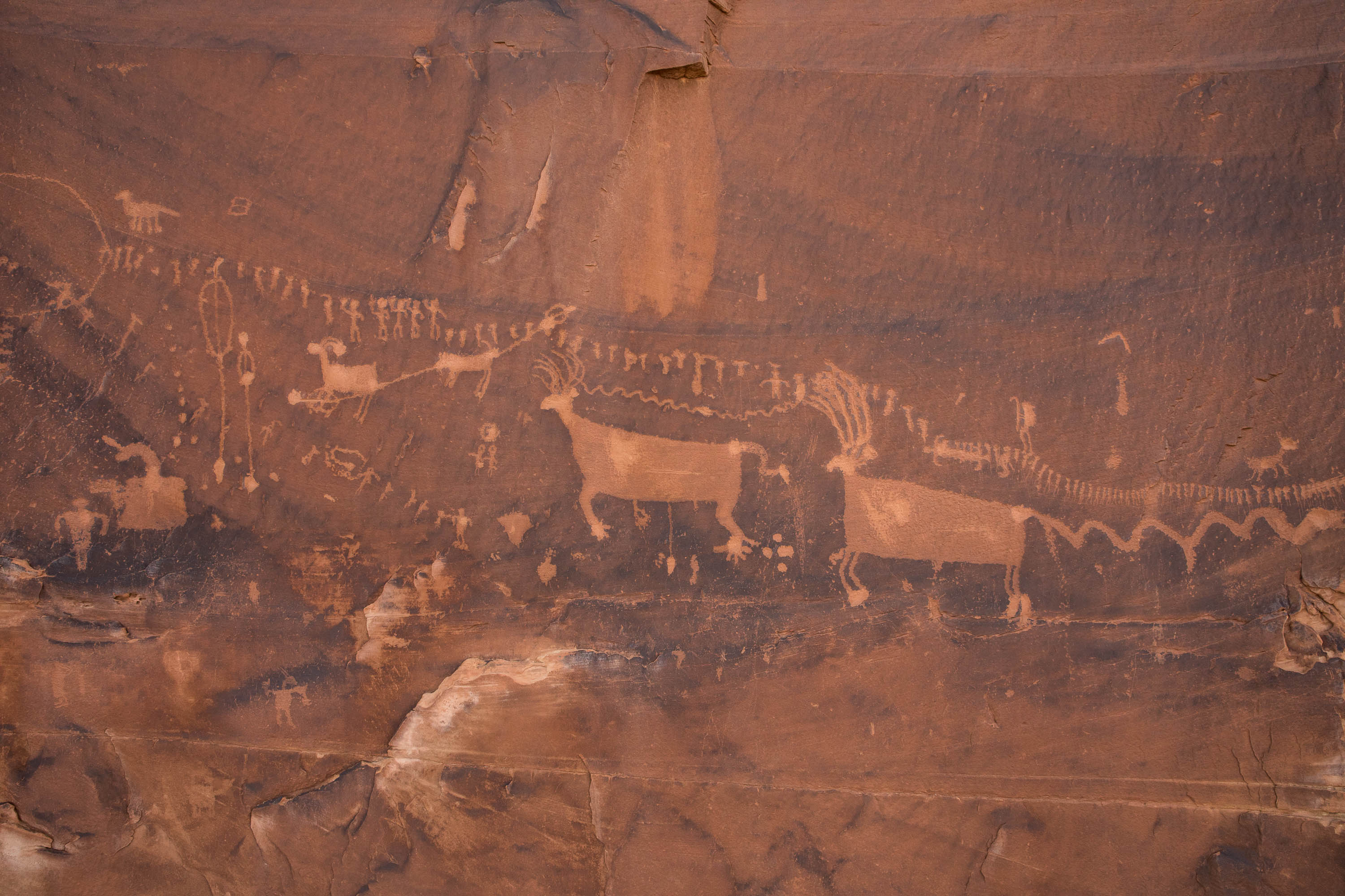 A detail of the Procession Panel in Bears Ears National Monument