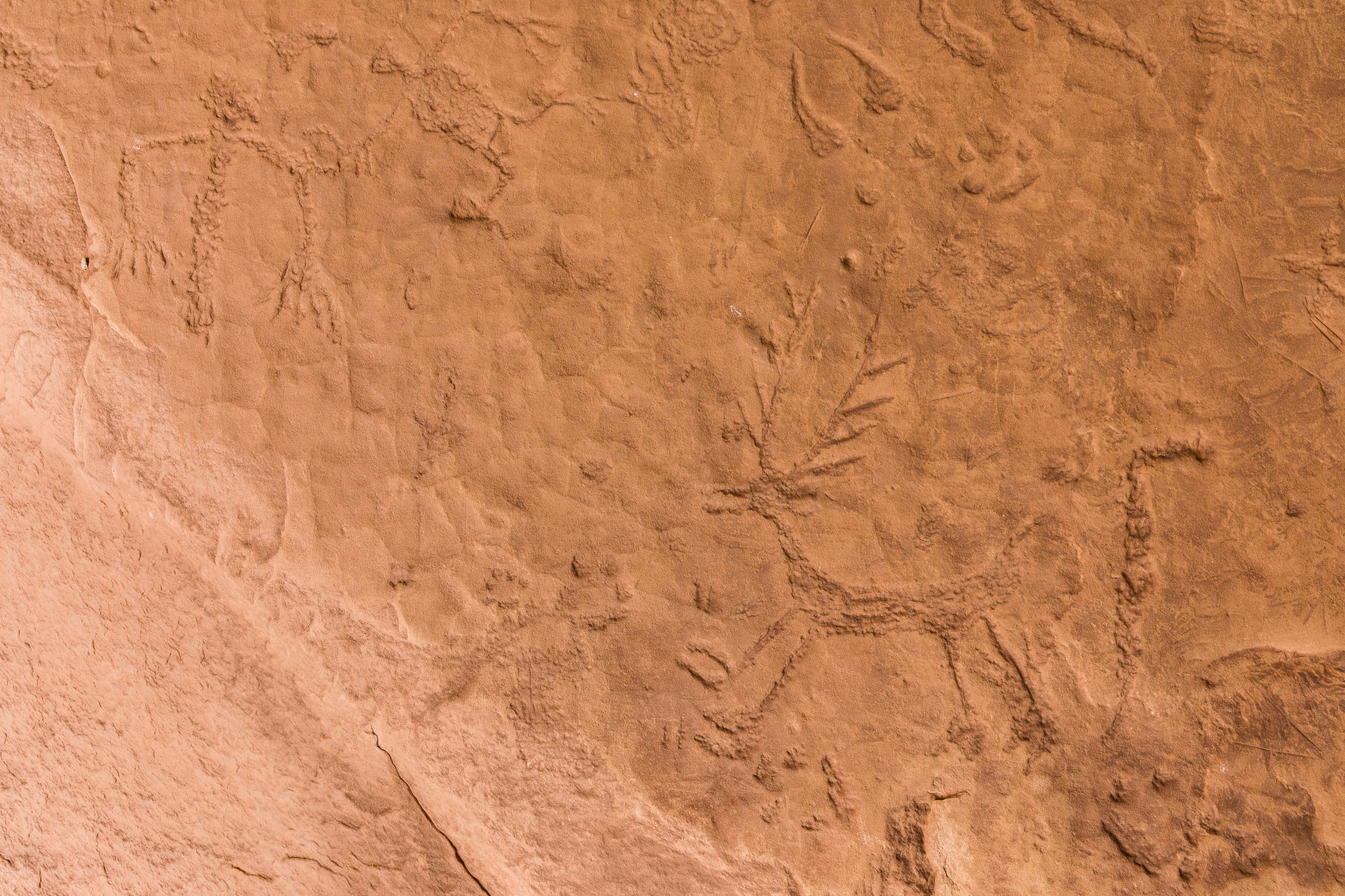 Detailed Basketmaker Rock Art