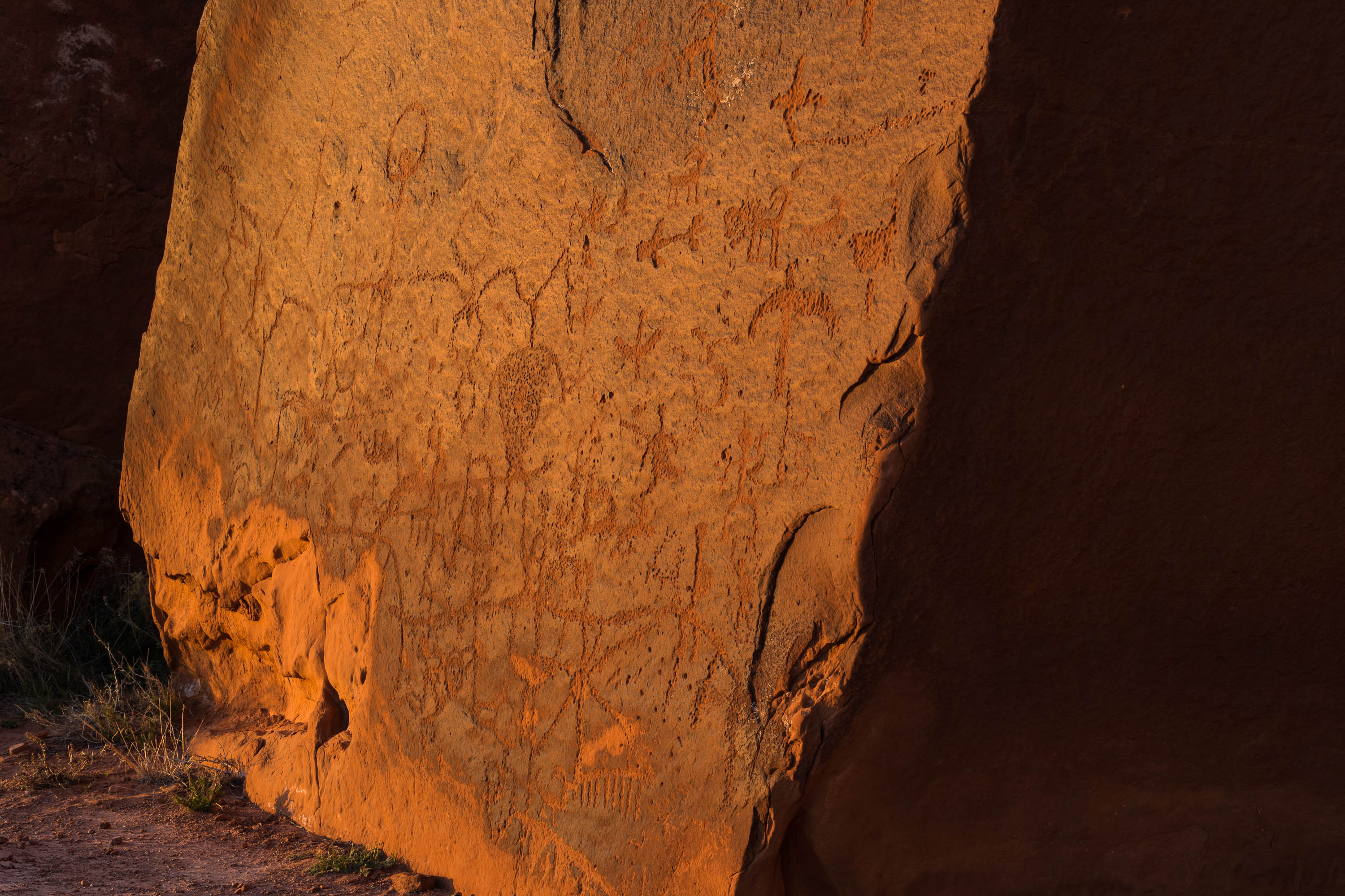 Petroglyphs in the Bears Ears National Monument