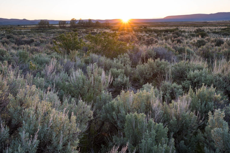 The oldest site in North America