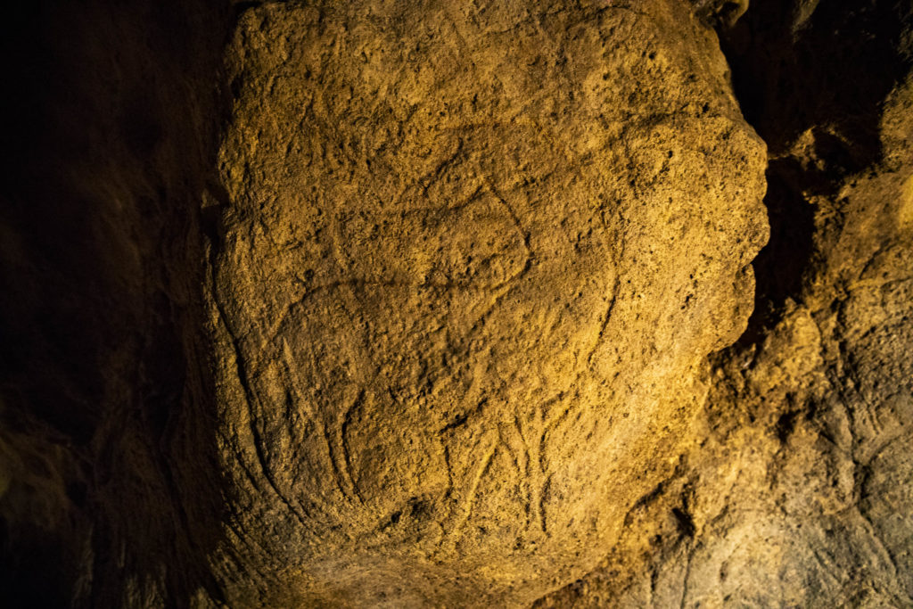 Engraved horse in Grotte Pair-non-Pair