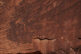 Petroglyphs in Gold Butte National Monument