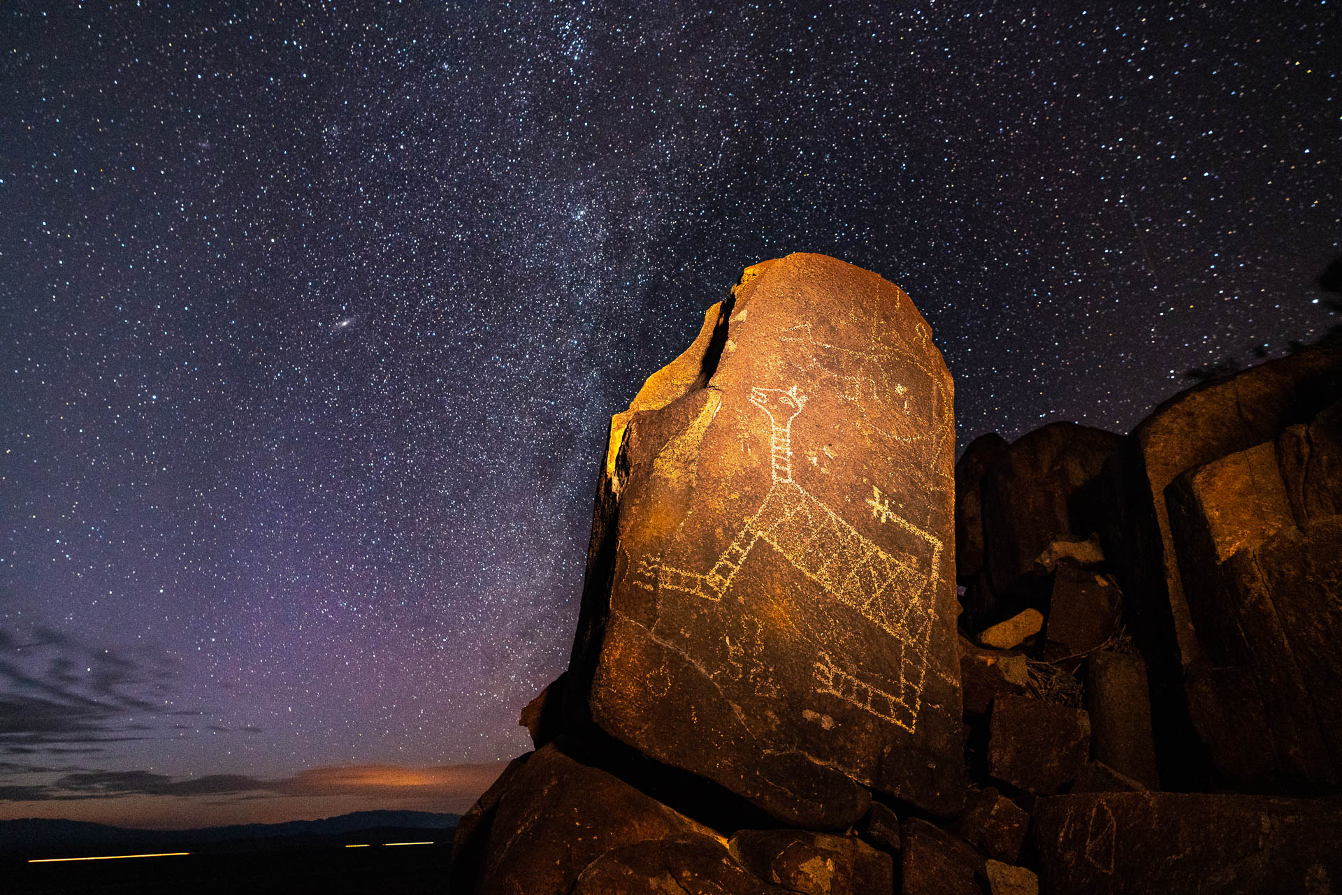 Snake Tailed Cat Petroglyph