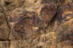 Dinwoody Petroglyphs