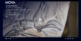 Chauvet_Nova