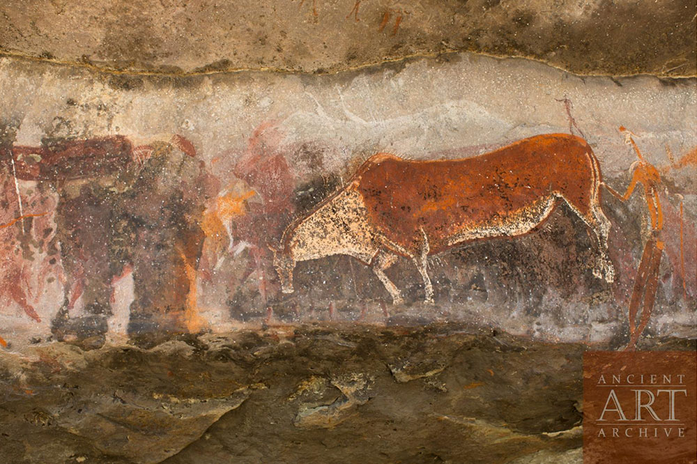 Game Pass Shelter, South Africa