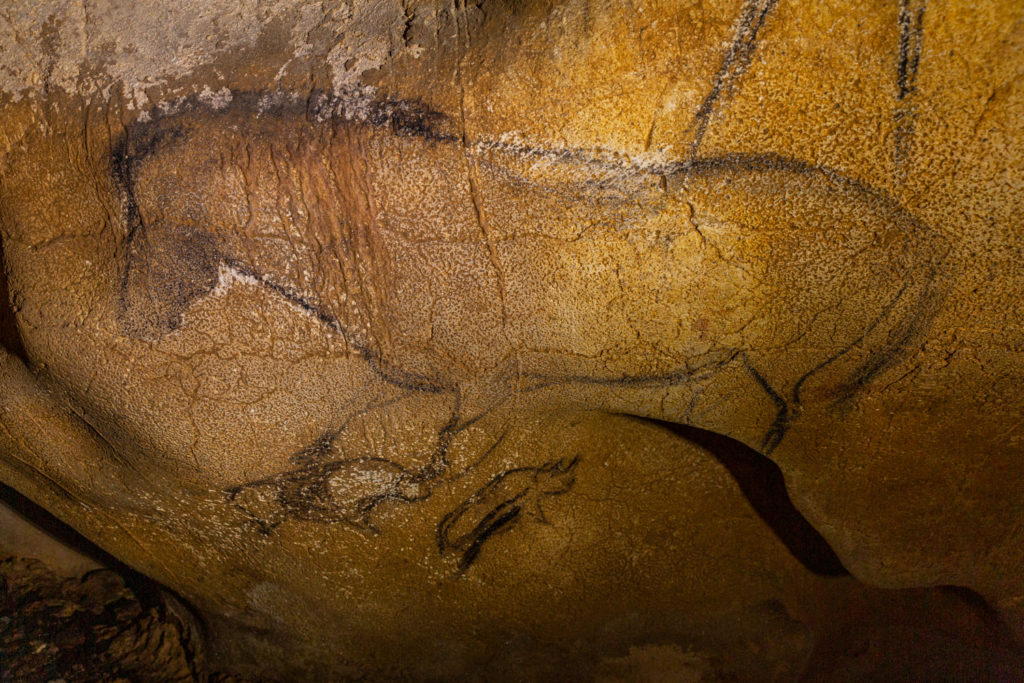 a painted horse in Chauvet cave