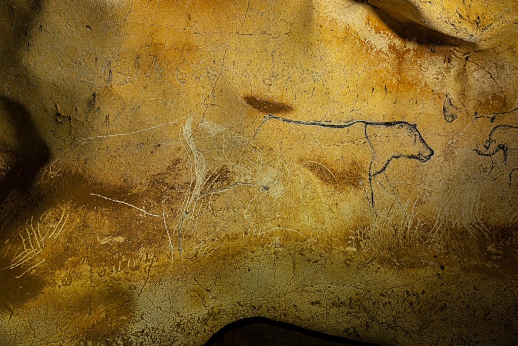 cave lions in Chauvet Cave
