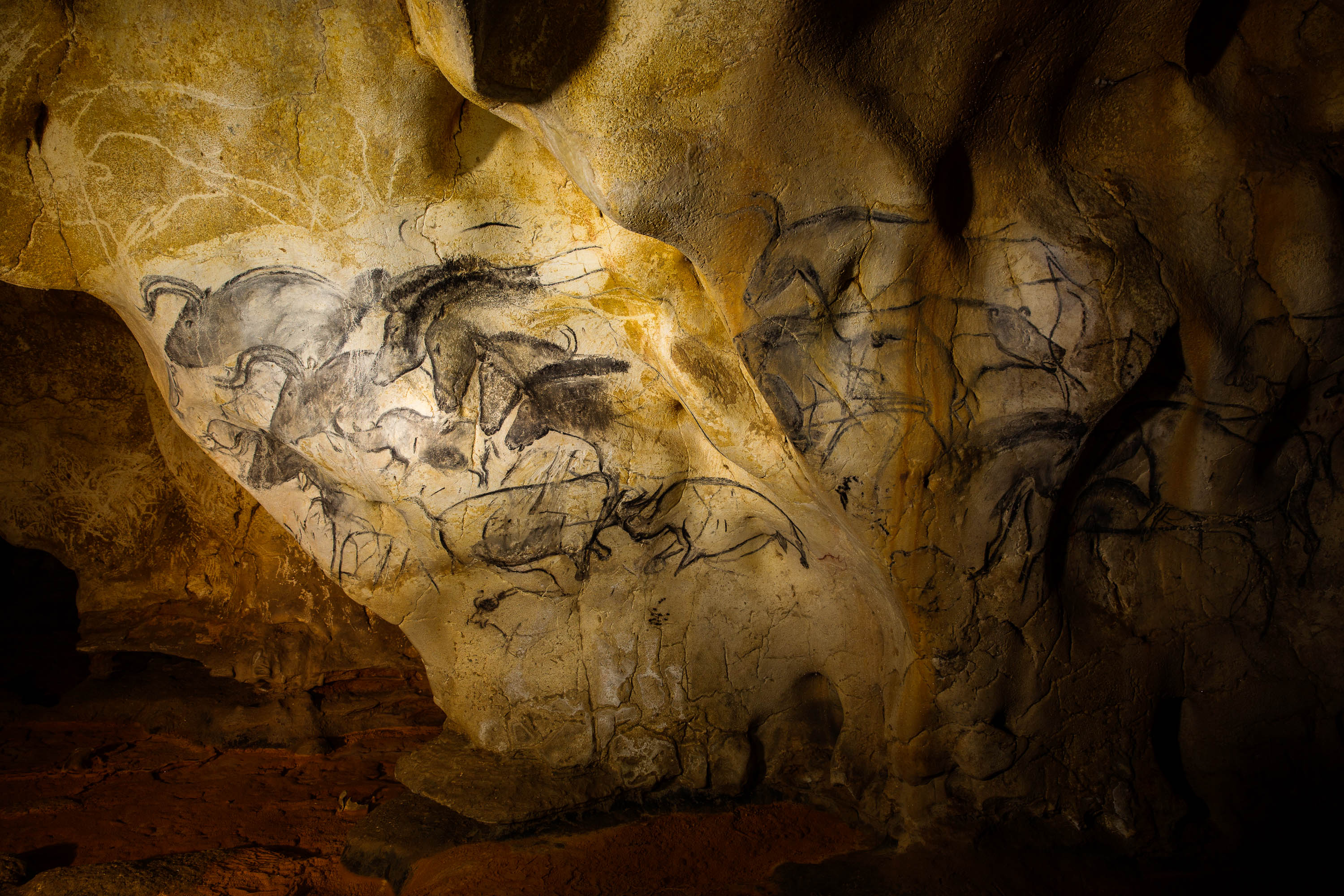 Chauvet Cave Lions Burned Leather Canvas Print