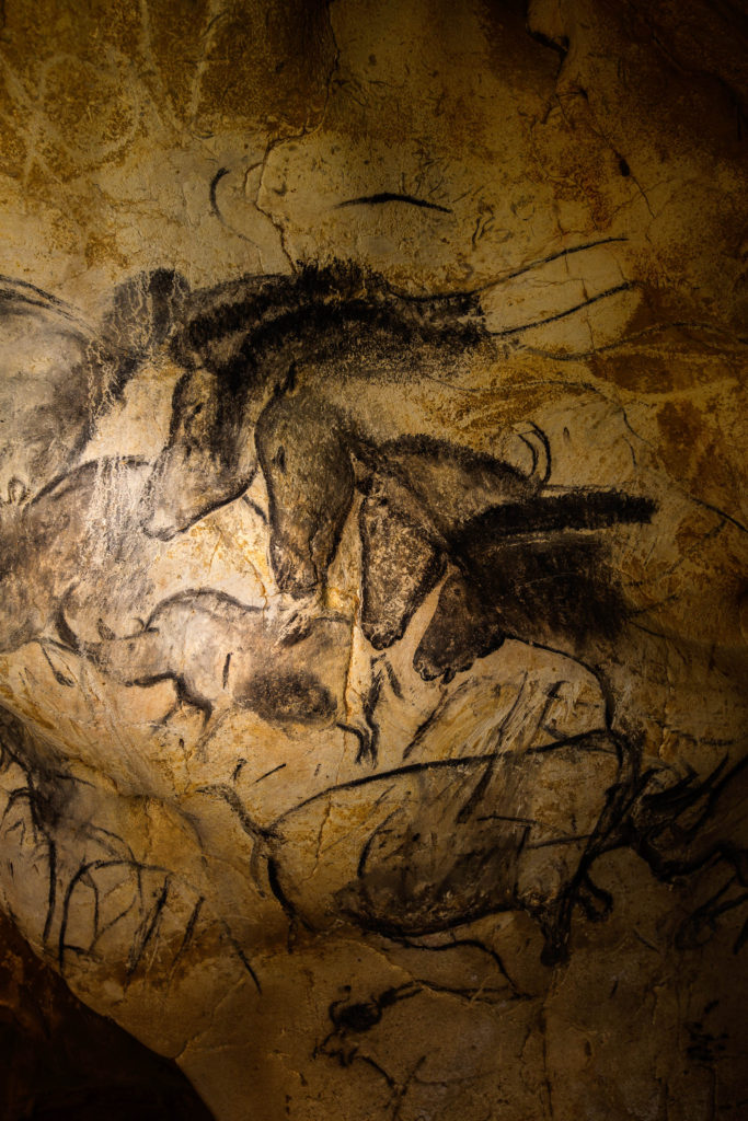 Horse Panel of Chauvet Cave