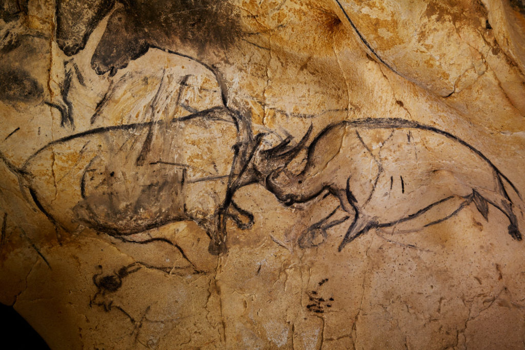 wooly rhinos in Chauvet cave