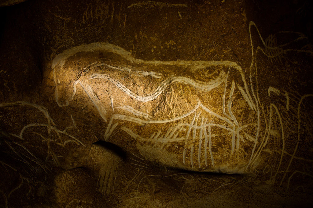 horse mud glyph in Chauvet Cave