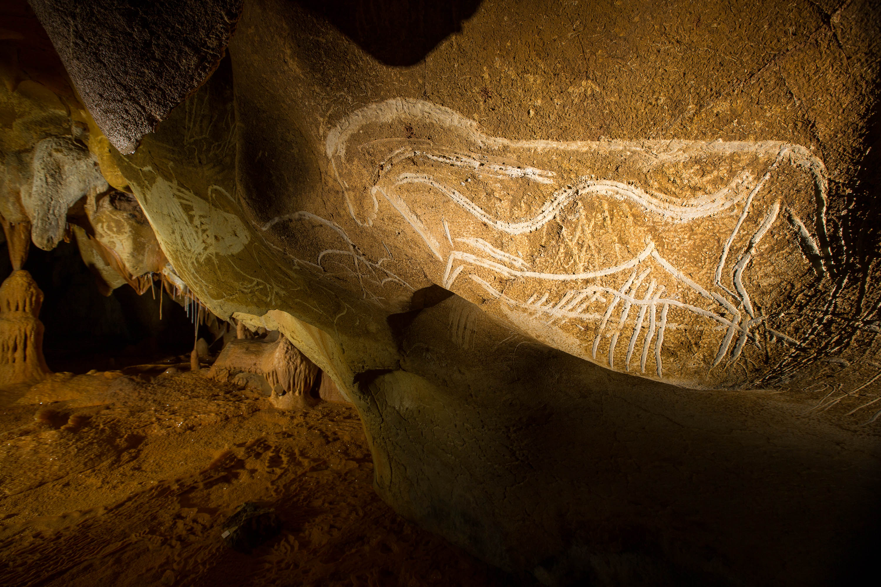 paleolithic finger traced mud glyphs