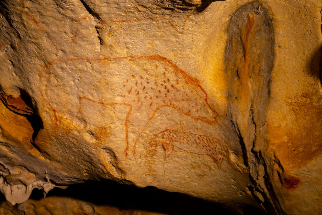  cave hyenas (Crocuta crocuta spelaea)