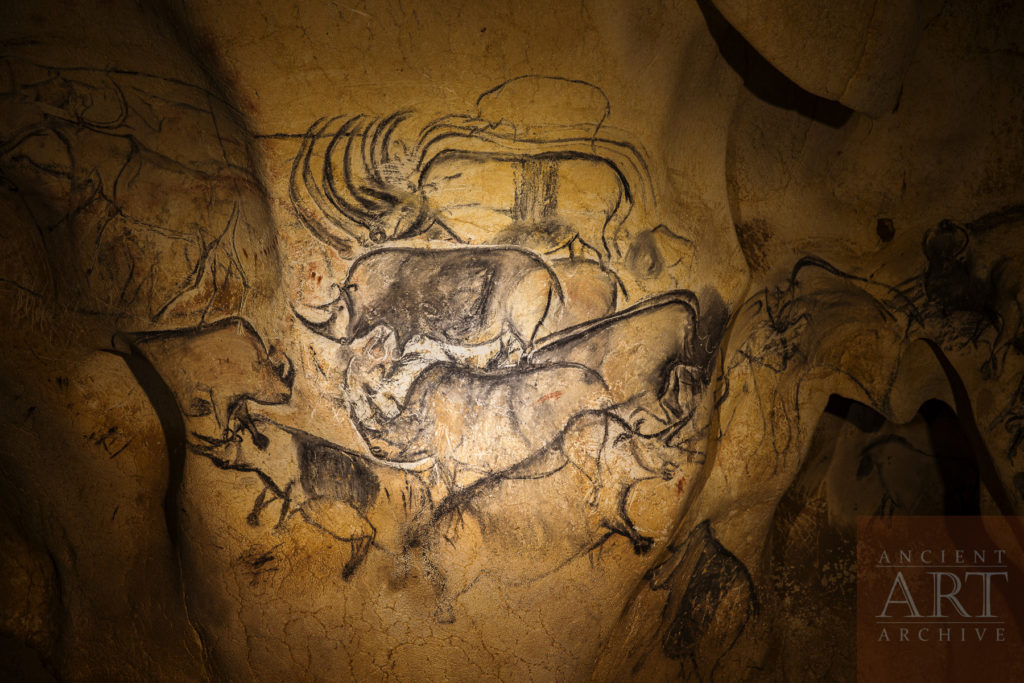 Rhino Panel in Chauvet Cave