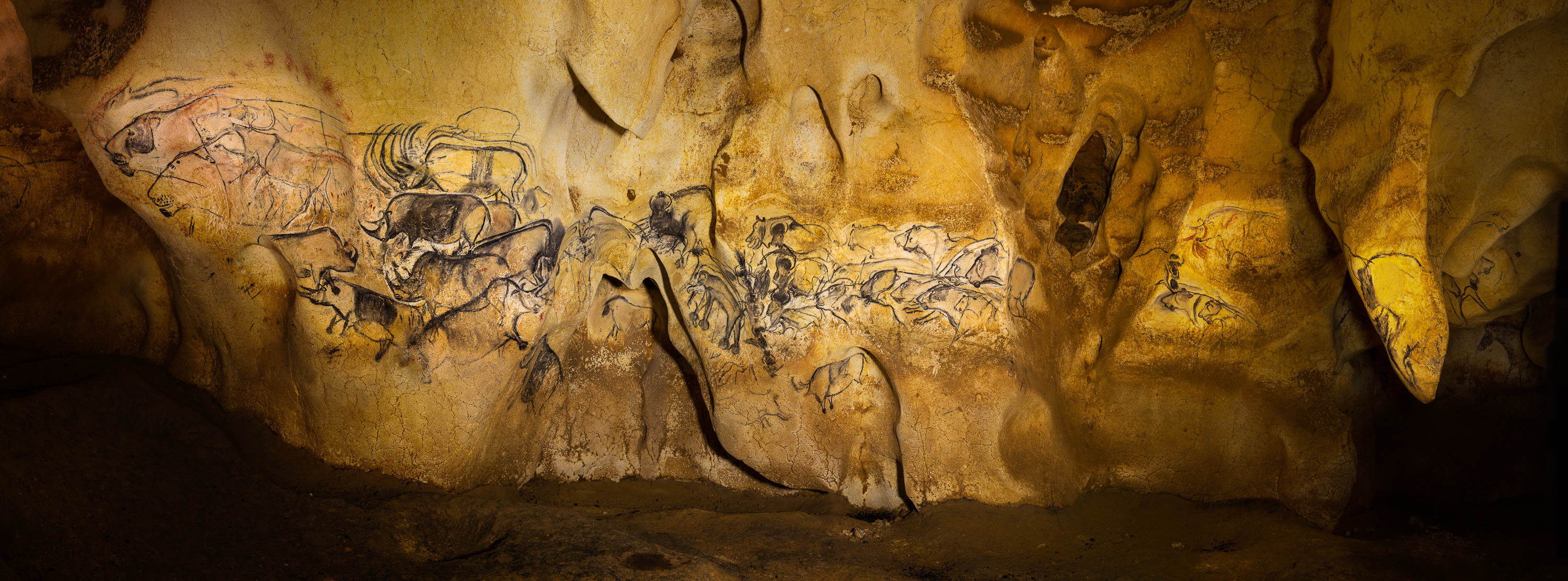 The Lion Panel of Chauvet Cave