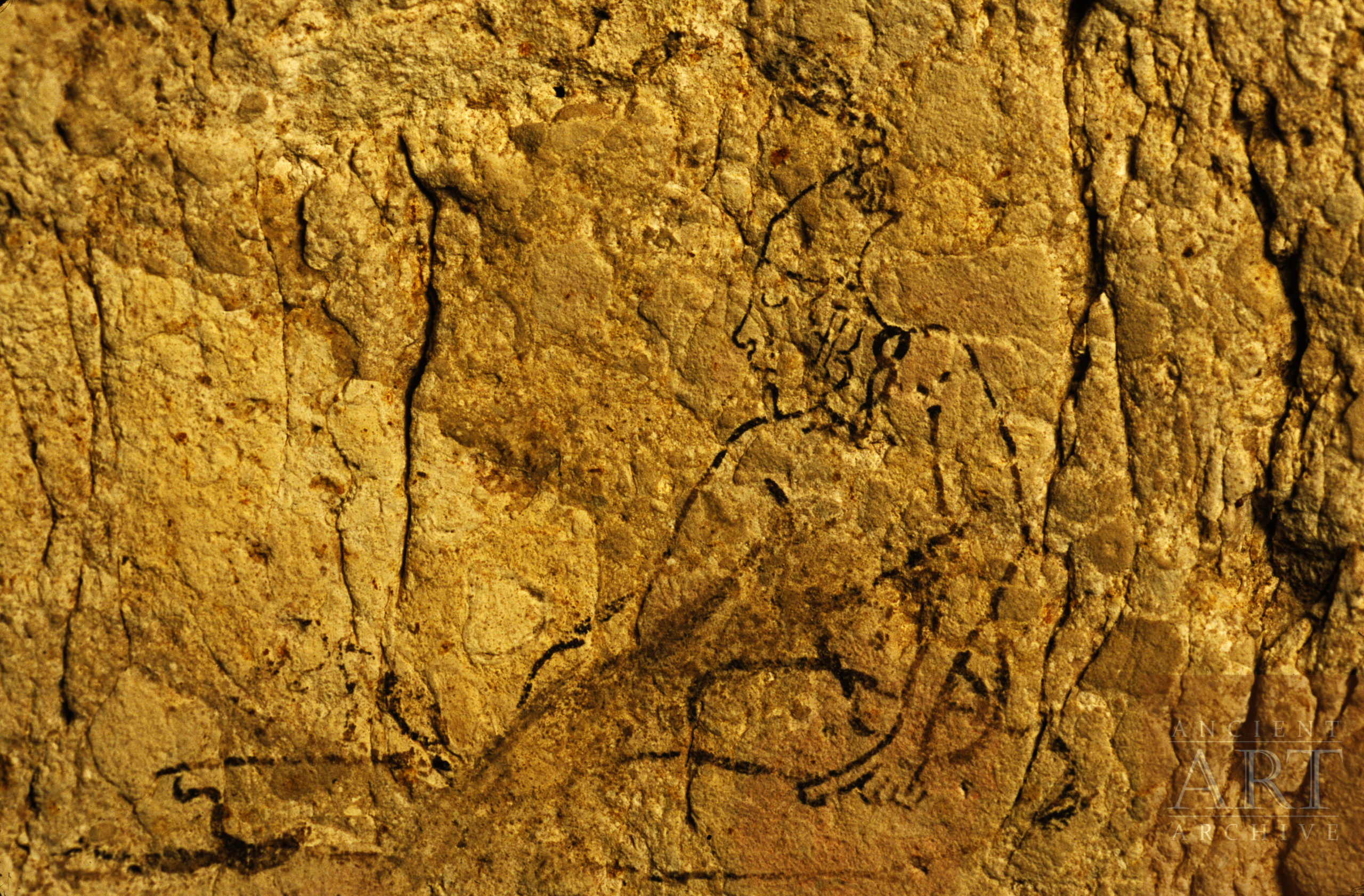 Maya pictograph in Naj Tunich