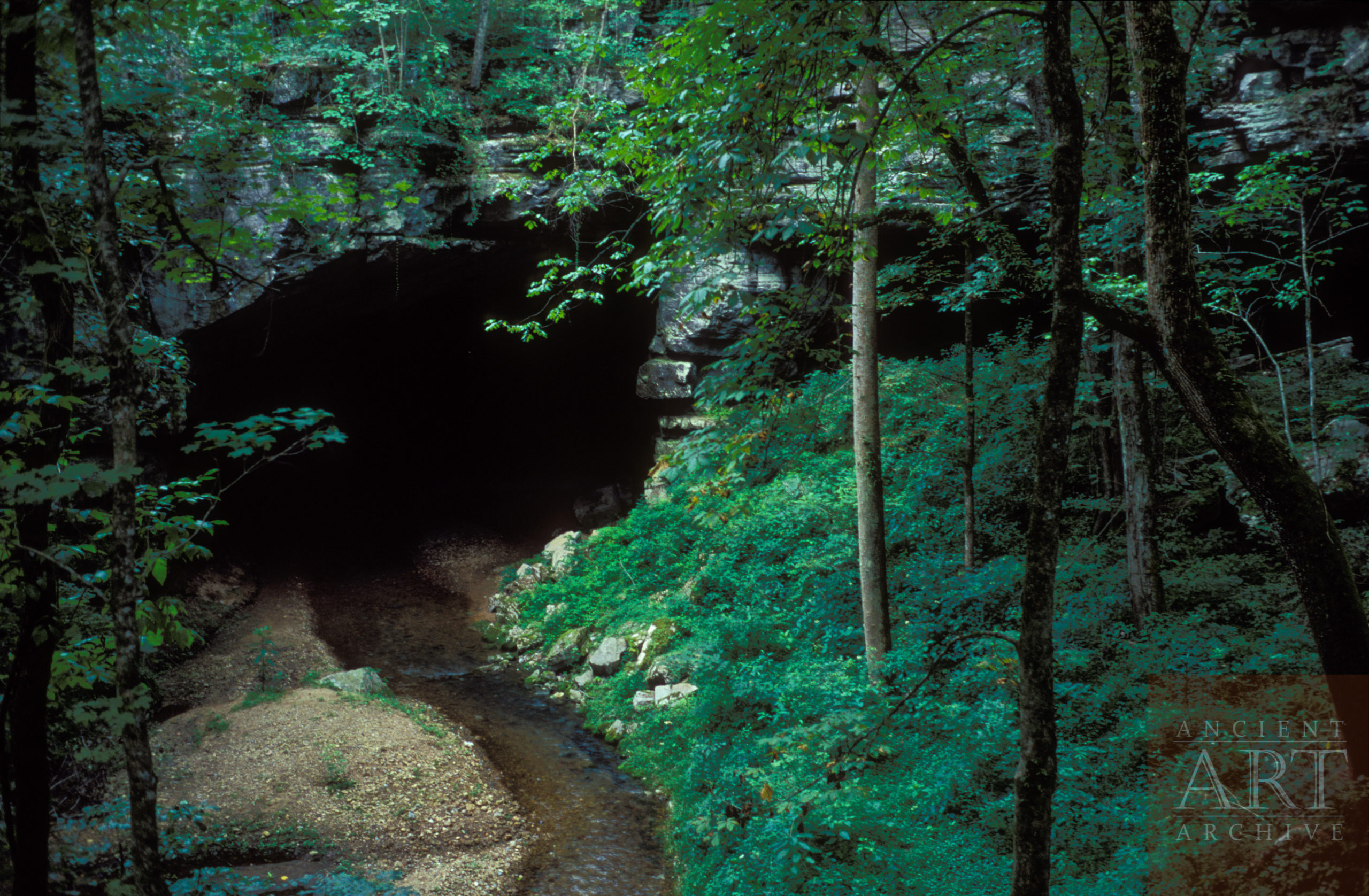 A Southeastern Cave Entrance