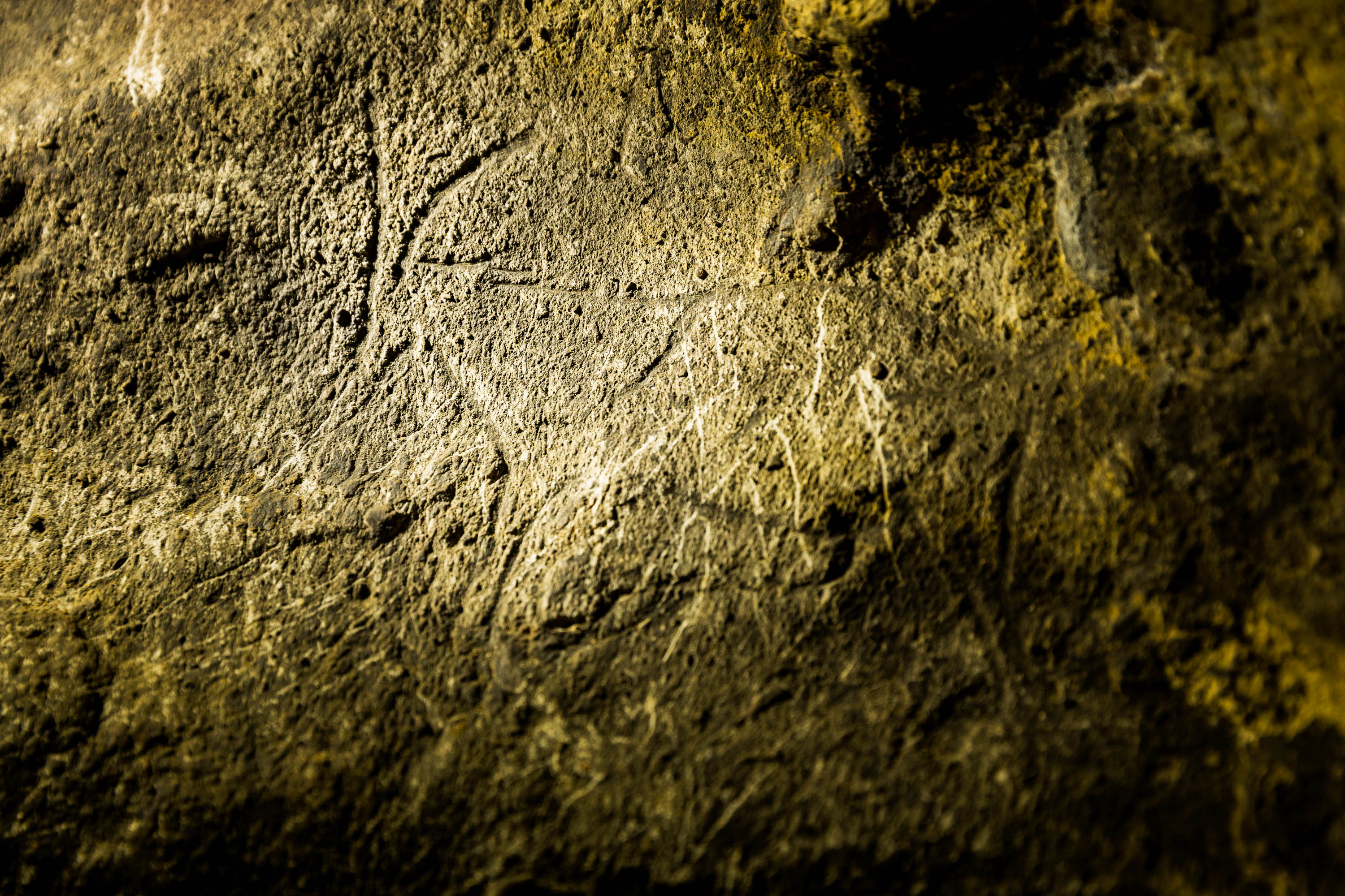 cave art engraving in Spain