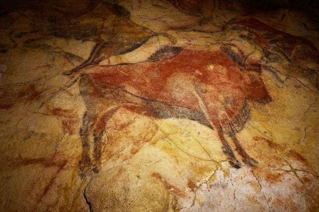 a detail of a Bull painted in Altamira Cave